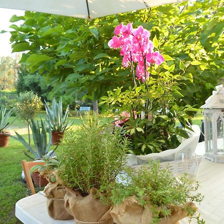 לינה וארוחת בוקר Castelnuovo Belbo Bed & Tours Dimora Di Campagna מראה חיצוני תמונה
