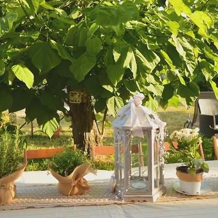 לינה וארוחת בוקר Castelnuovo Belbo Bed & Tours Dimora Di Campagna מראה חיצוני תמונה