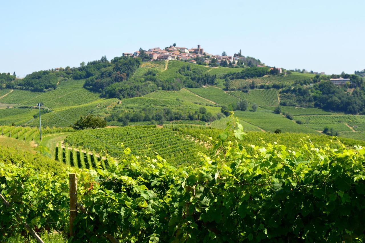 לינה וארוחת בוקר Castelnuovo Belbo Bed & Tours Dimora Di Campagna מראה חיצוני תמונה
