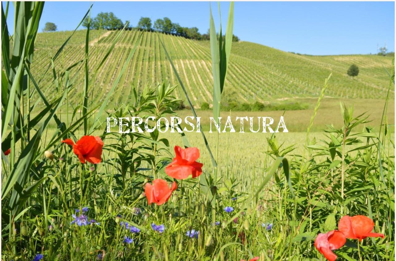 לינה וארוחת בוקר Castelnuovo Belbo Bed & Tours Dimora Di Campagna מראה חיצוני תמונה