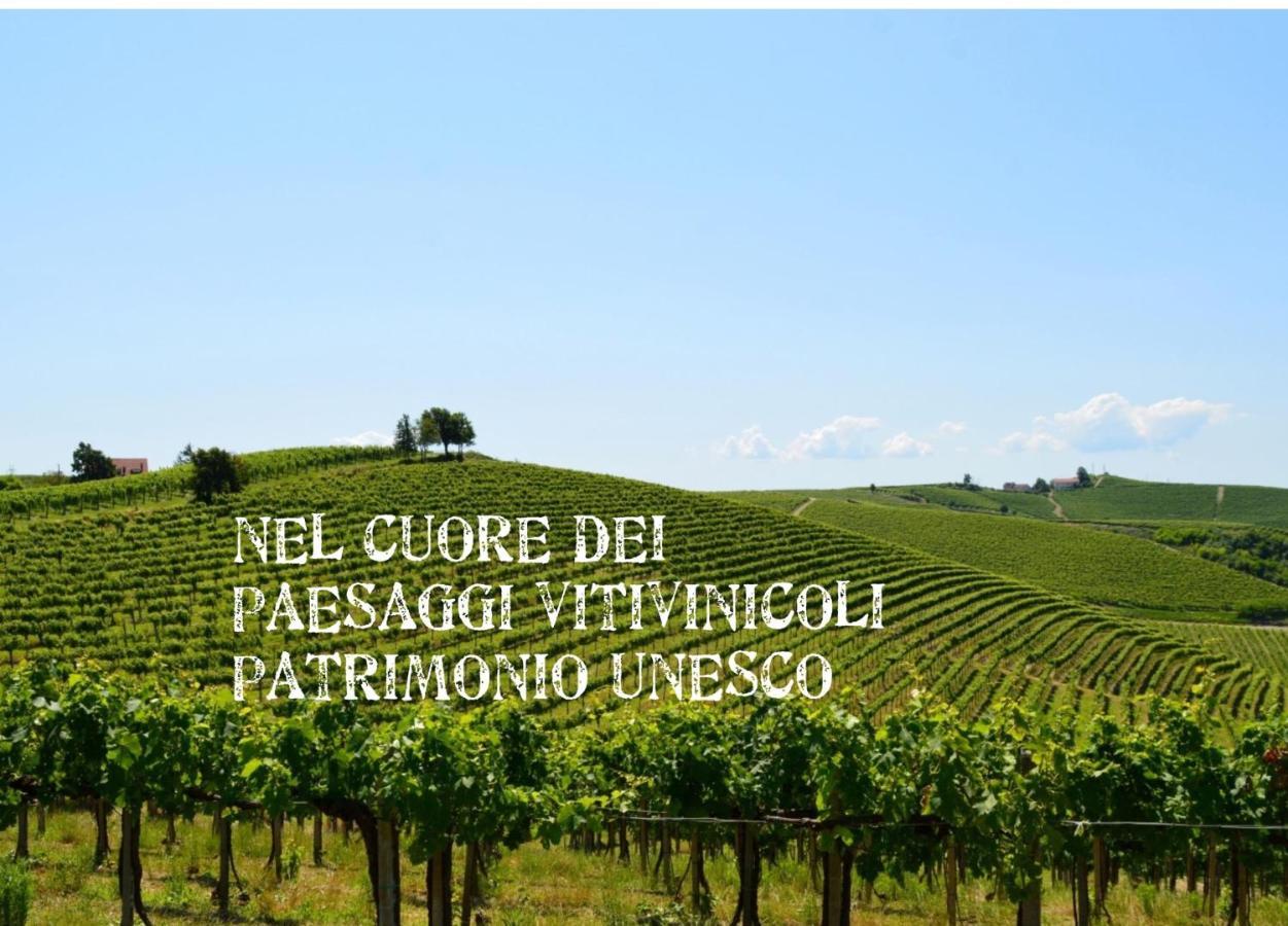 לינה וארוחת בוקר Castelnuovo Belbo Bed & Tours Dimora Di Campagna מראה חיצוני תמונה