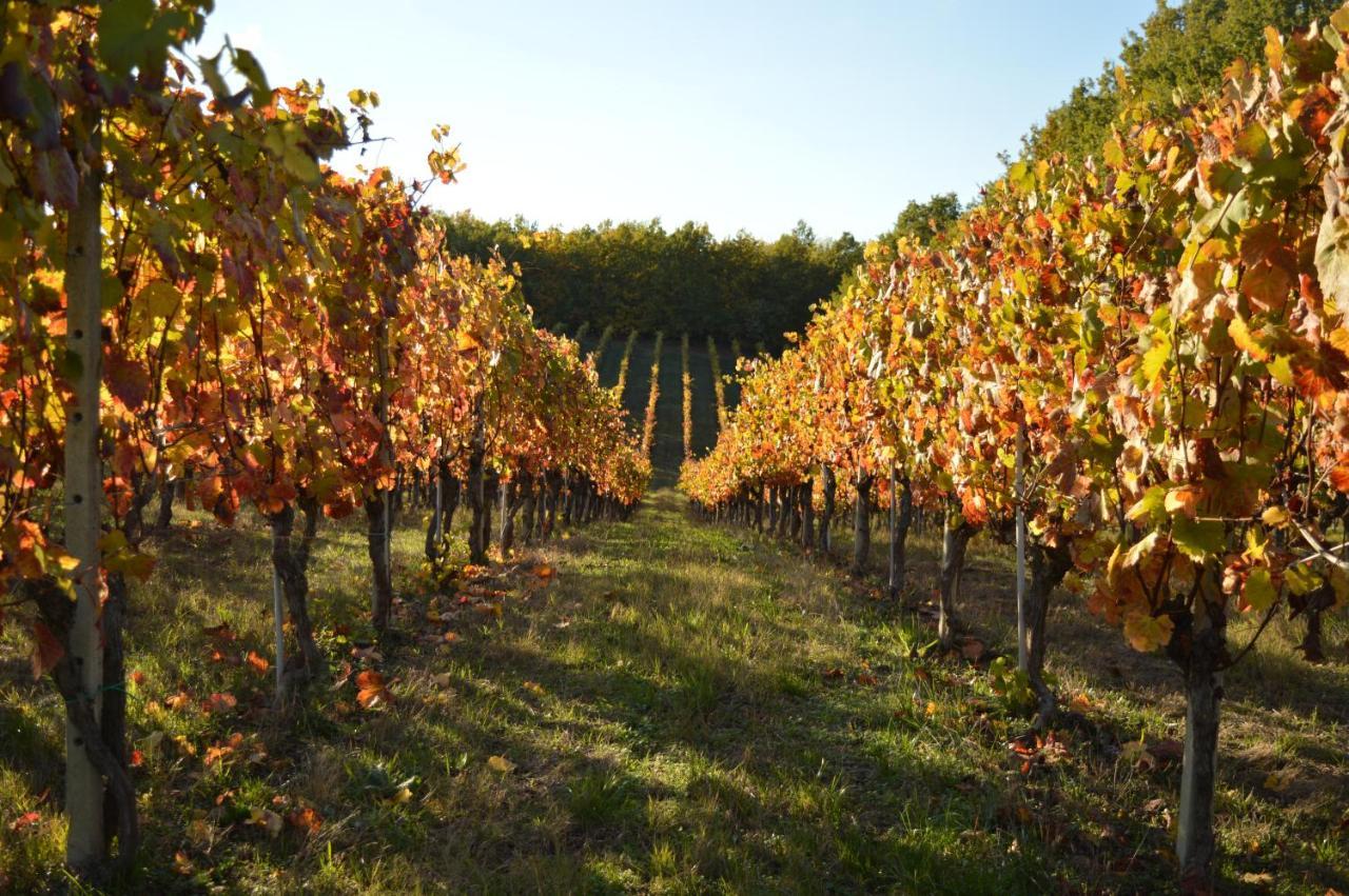 לינה וארוחת בוקר Castelnuovo Belbo Bed & Tours Dimora Di Campagna מראה חיצוני תמונה