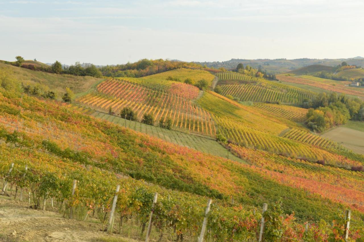 לינה וארוחת בוקר Castelnuovo Belbo Bed & Tours Dimora Di Campagna מראה חיצוני תמונה