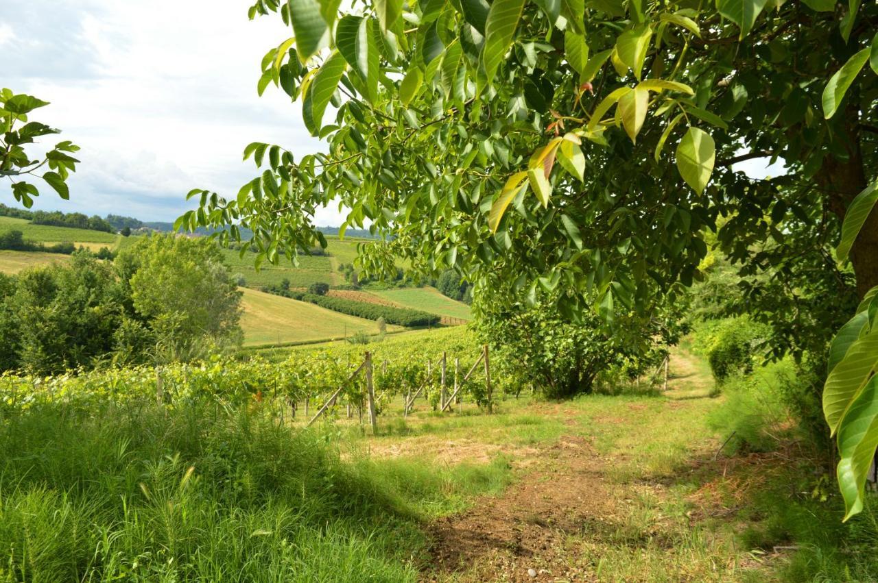 לינה וארוחת בוקר Castelnuovo Belbo Bed & Tours Dimora Di Campagna מראה חיצוני תמונה