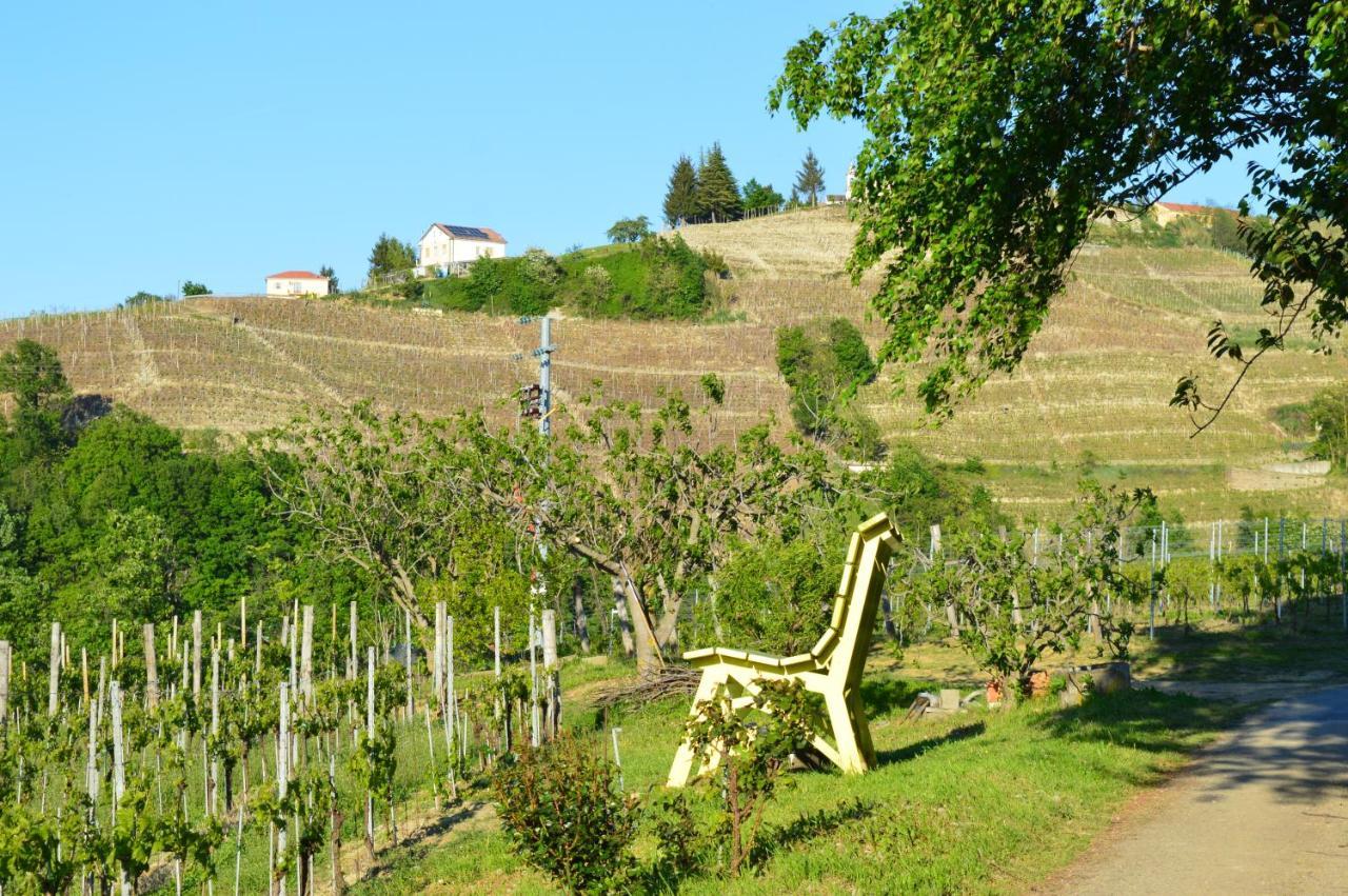 לינה וארוחת בוקר Castelnuovo Belbo Bed & Tours Dimora Di Campagna מראה חיצוני תמונה