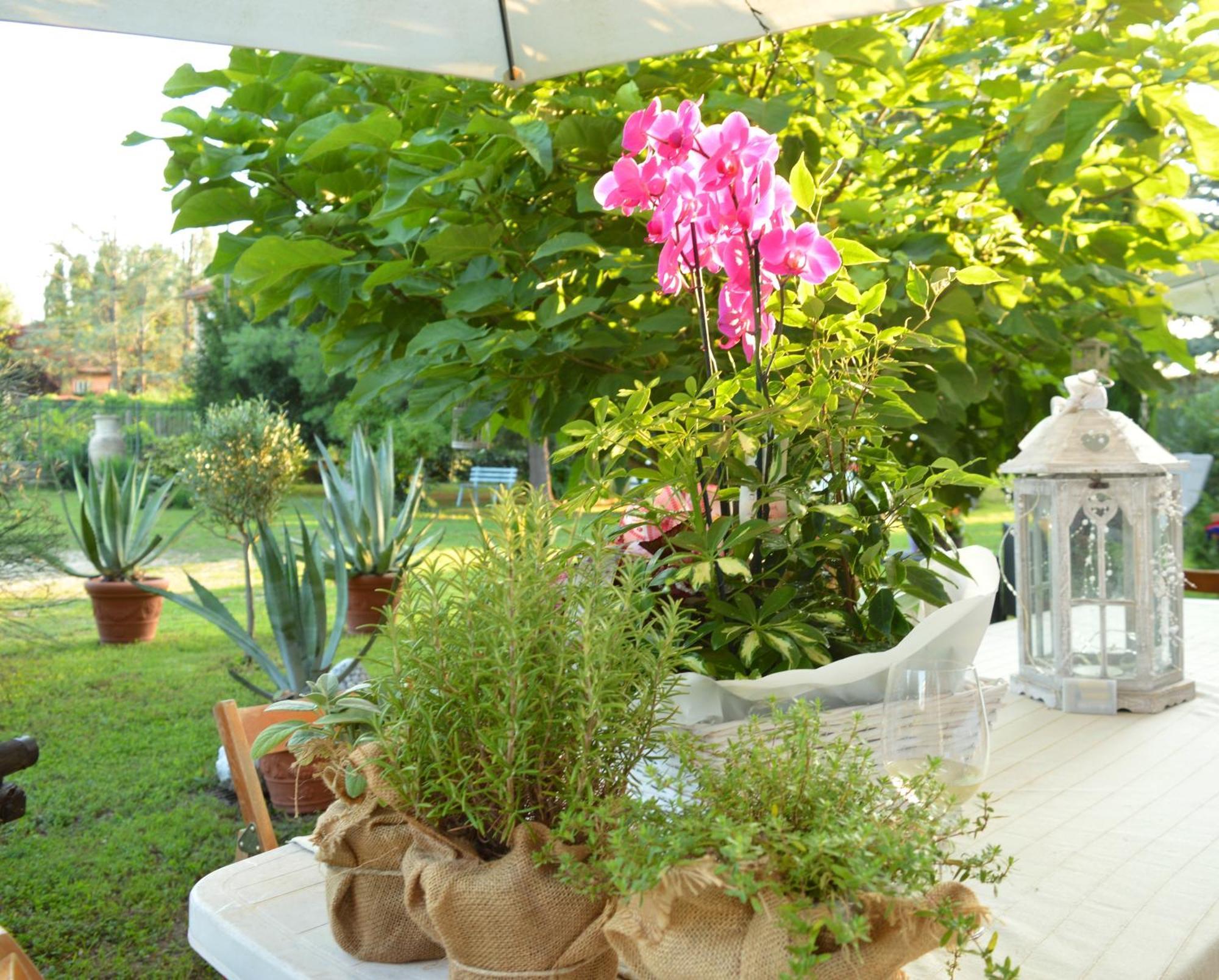 לינה וארוחת בוקר Castelnuovo Belbo Bed & Tours Dimora Di Campagna מראה חיצוני תמונה