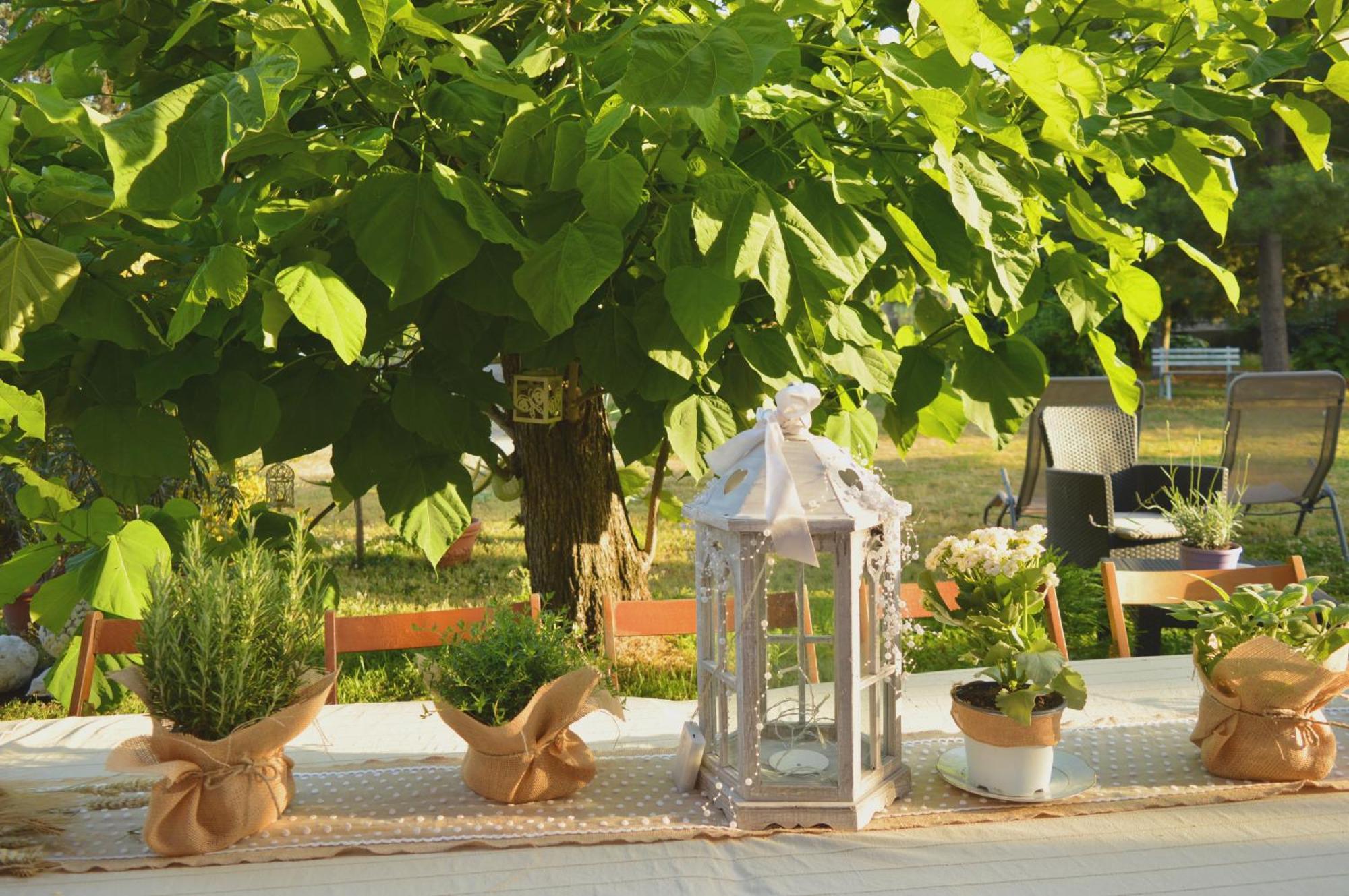 לינה וארוחת בוקר Castelnuovo Belbo Bed & Tours Dimora Di Campagna מראה חיצוני תמונה